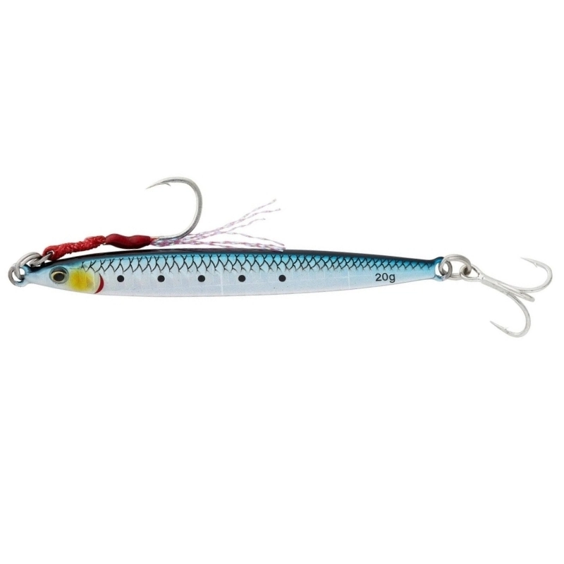 Sardine