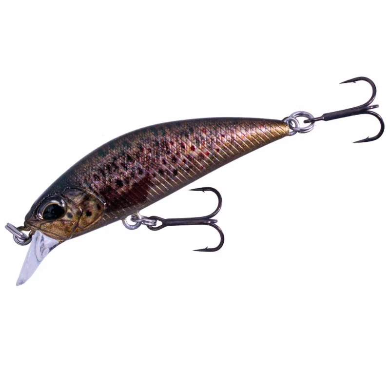 CCC3815 Brown Trout Nd