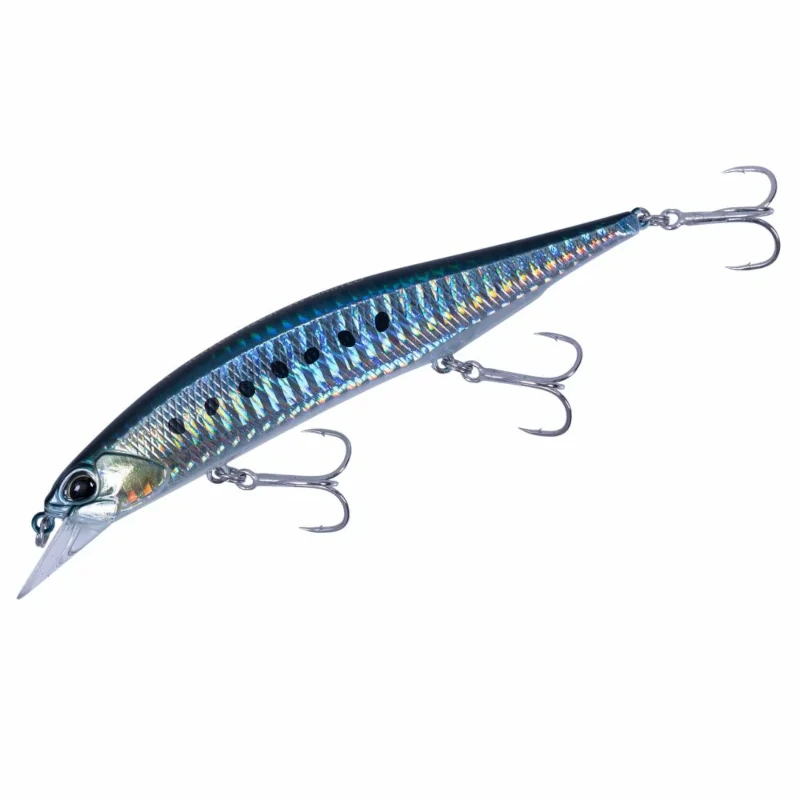 AHA0011 Sardine