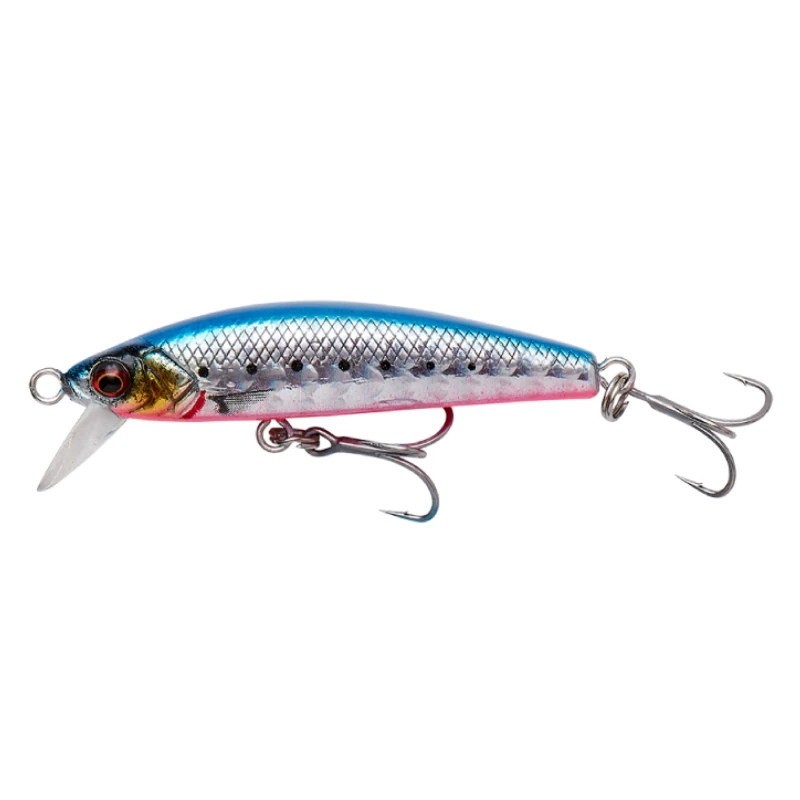 Pink Belly Sardine