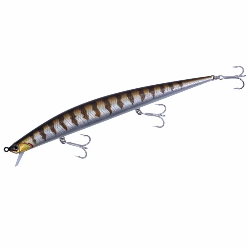 LAA0555 Natural Barracuda Glow