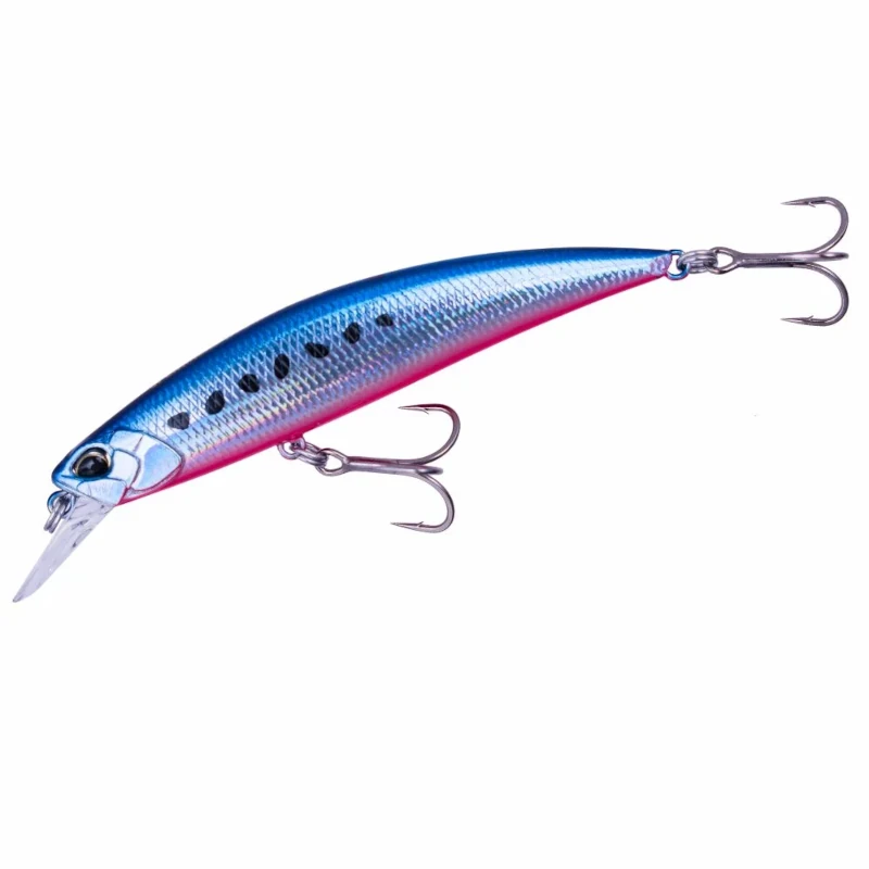 SMA0067 Flash Mazume Sardine
