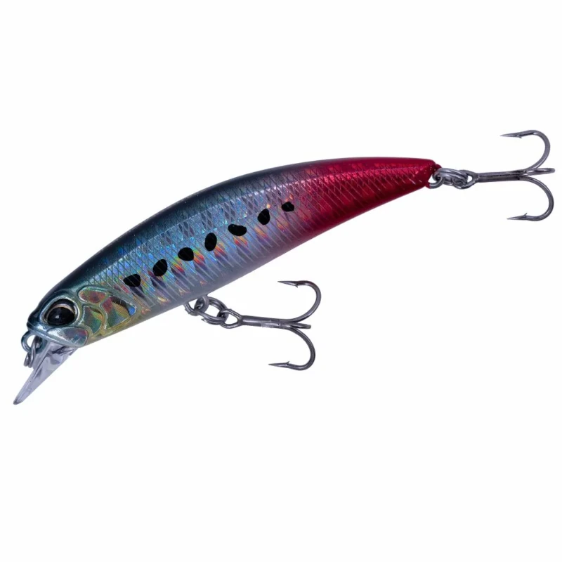 AHAZ125 Sardine Rt