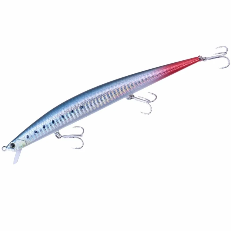 ACCZ125 Sardine  Rt