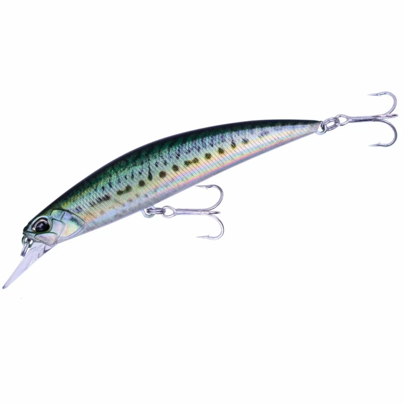 ANA0489 Real Mackerel