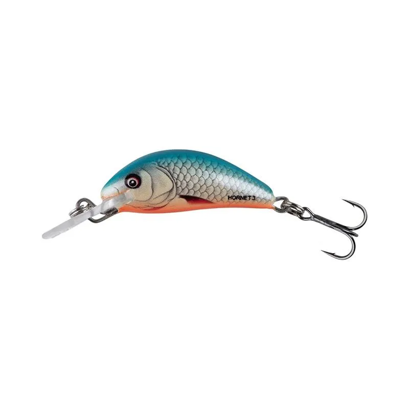 Dace Blue
