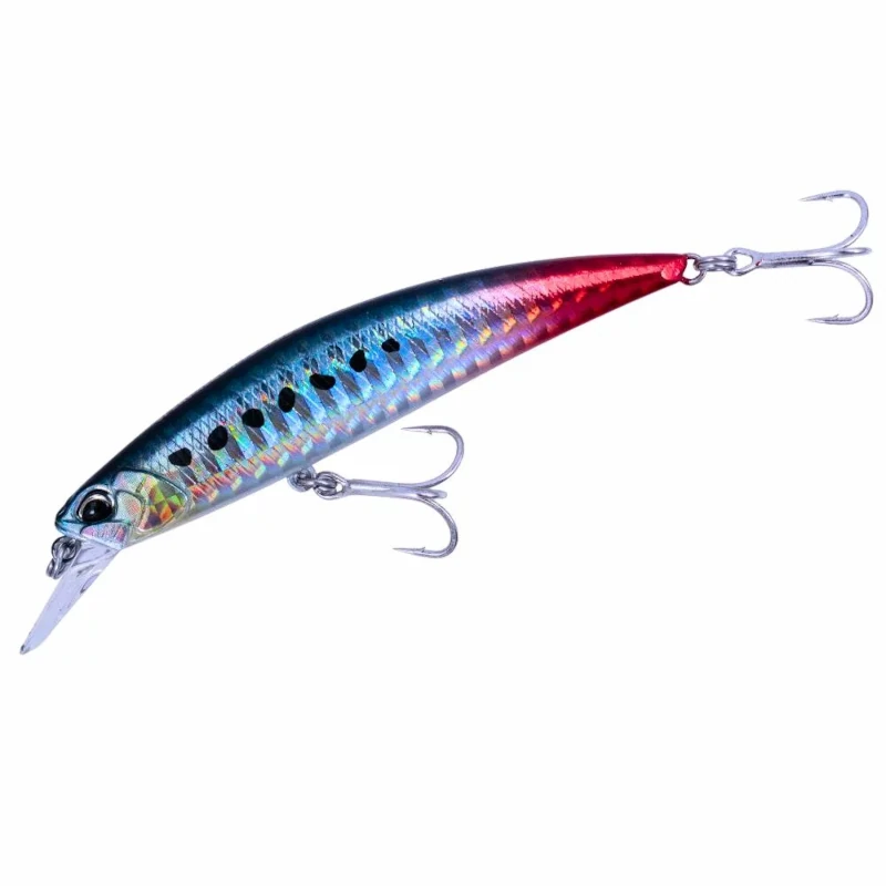 AHAZ125 Sardine Rt