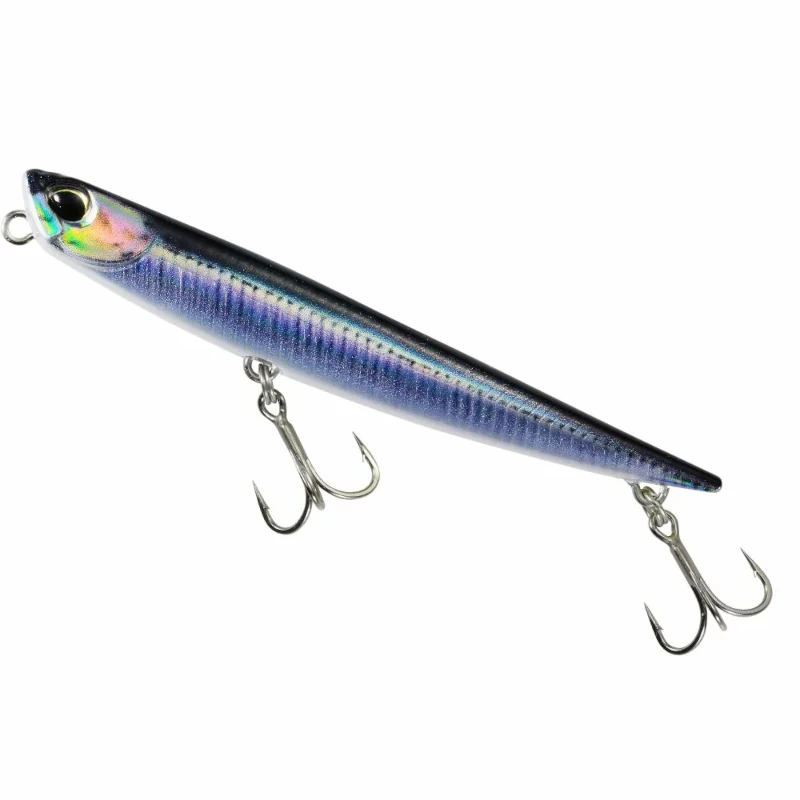 SNA0842 Real Anchovy