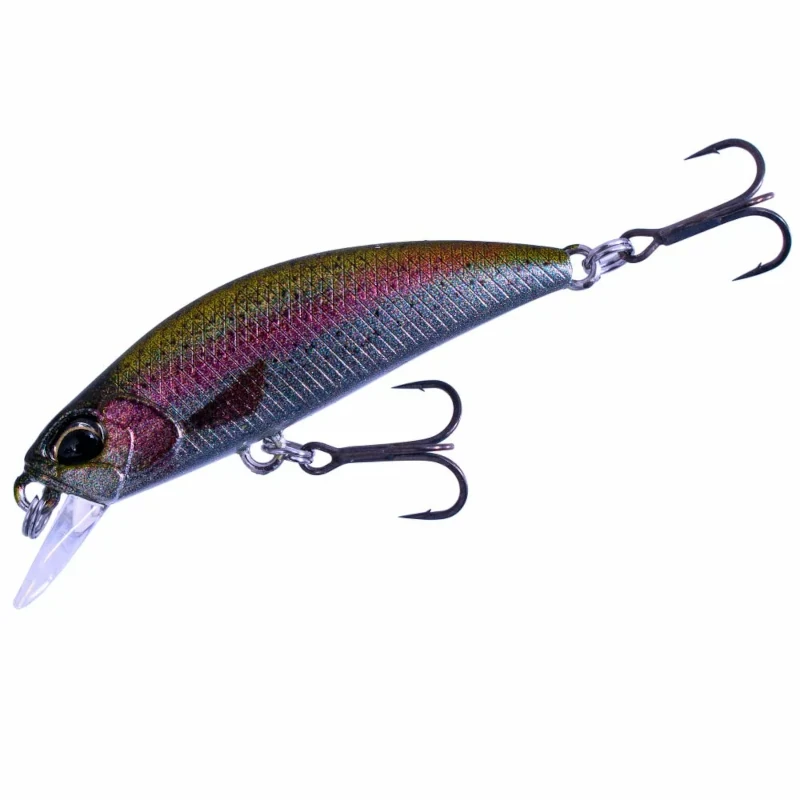 CCC3836 Rainbow Trout Nd