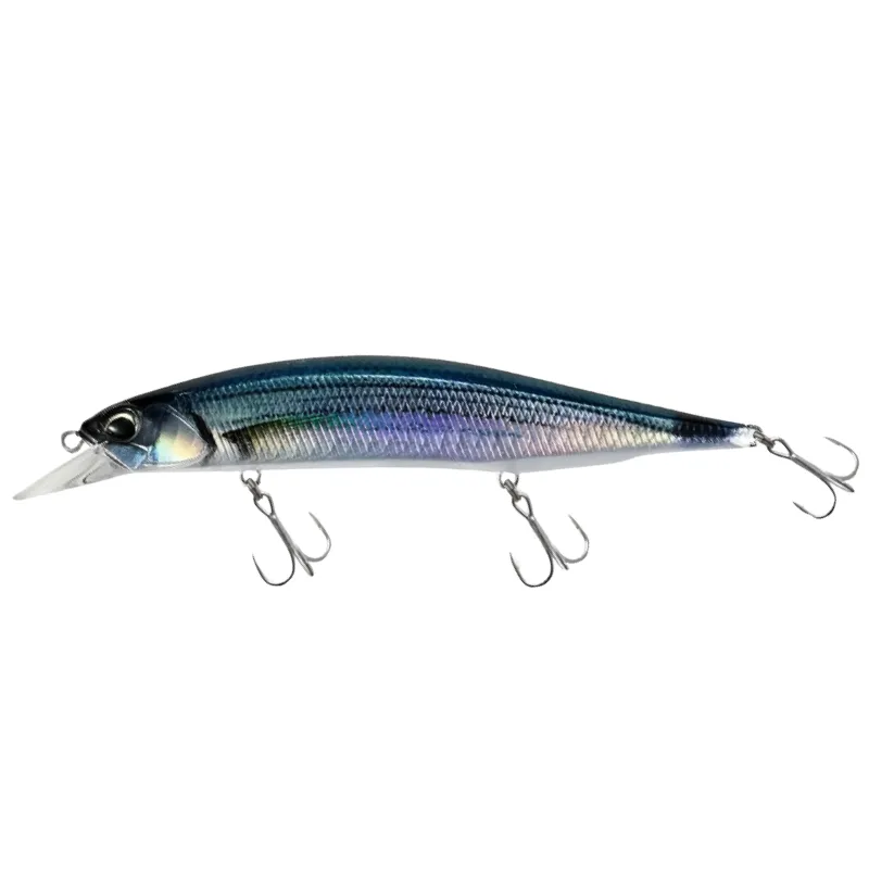AFA0830 Saddled Bream Nd