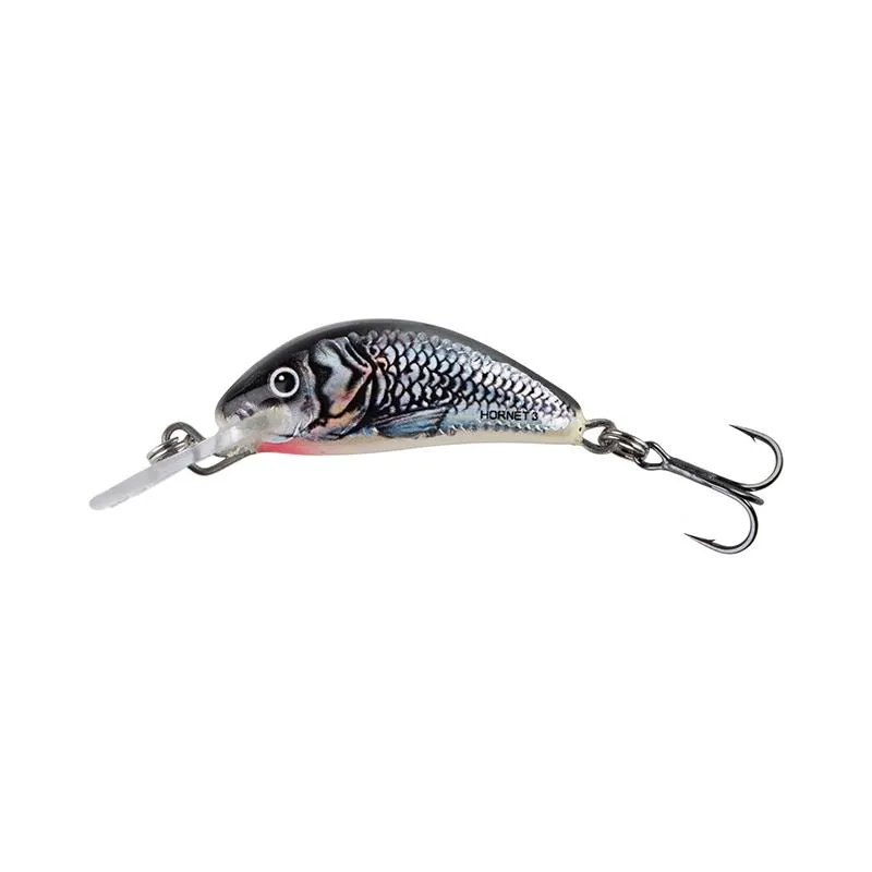Holographic Grey Shiner