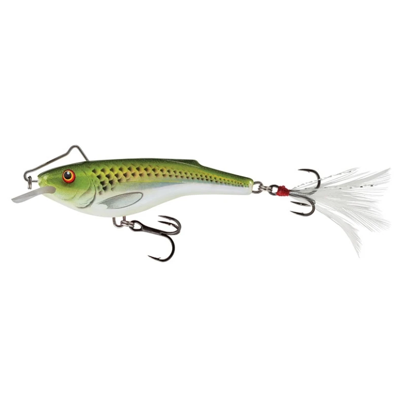 Holographic Green Shiner