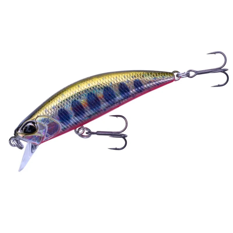 ADA4068 Yamame Red Belly