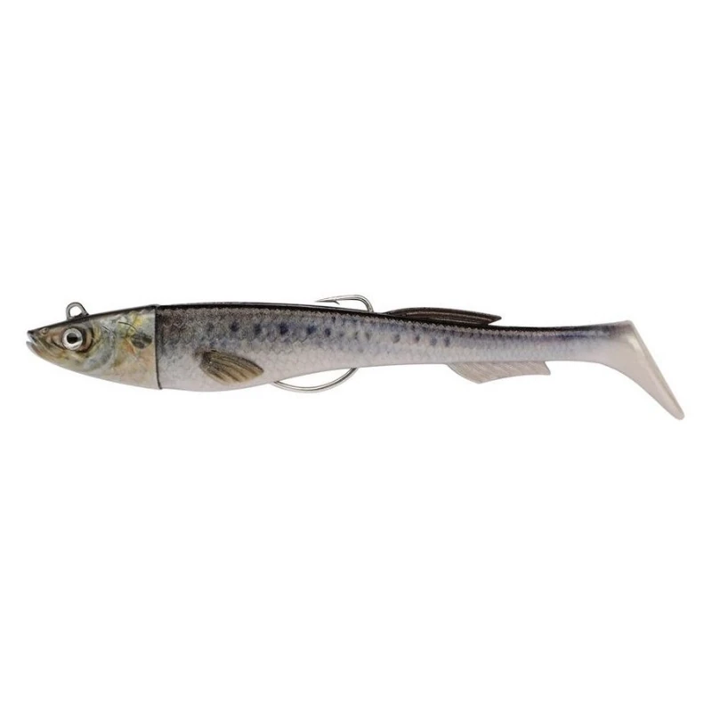 Real Sardine