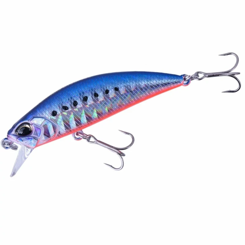 AHA0087 Mazume Sardine