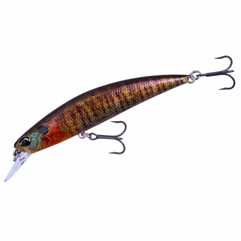 CCC3357 True Gill