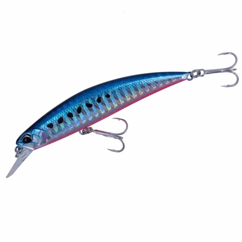 AHA0087 Mazume Sardine