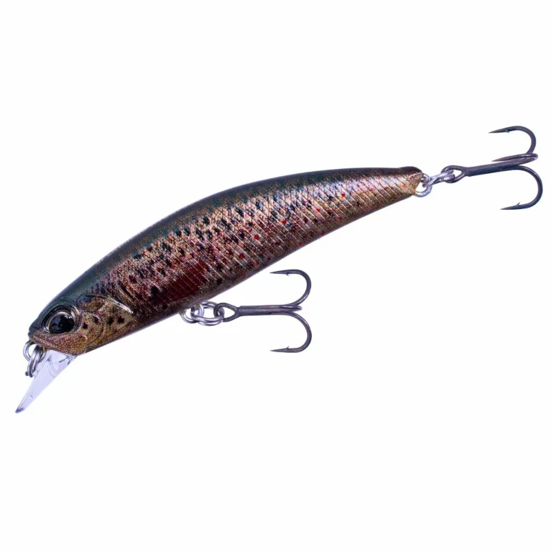 CCC3815 Brown Trout Nd