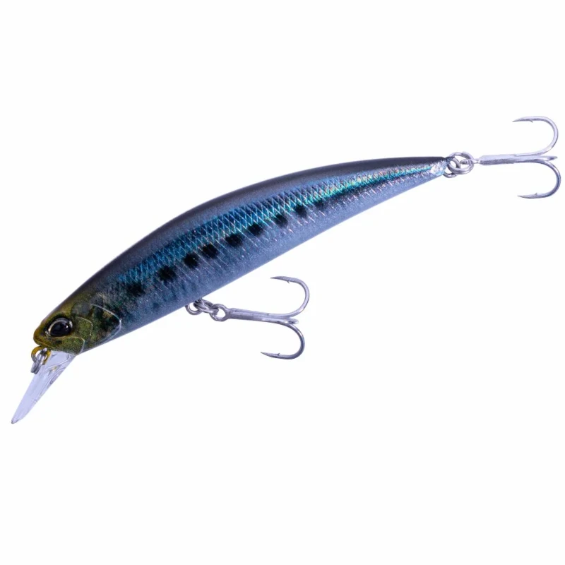 CNA0486 Real Sardine