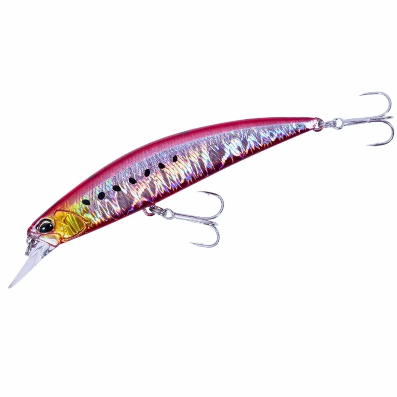 CPA0384 Fire Sardine