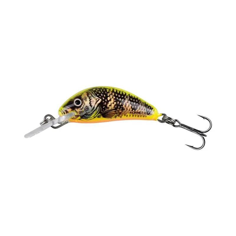 Gold Fluo Perch