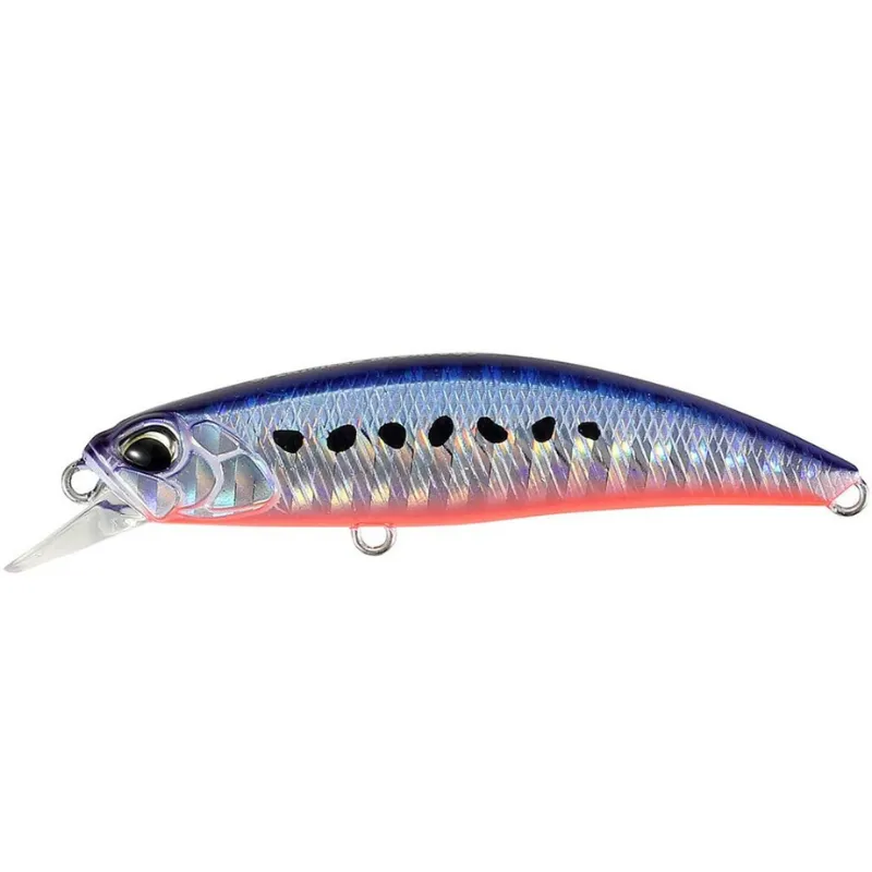 AHA0087 Mazume Sardine
