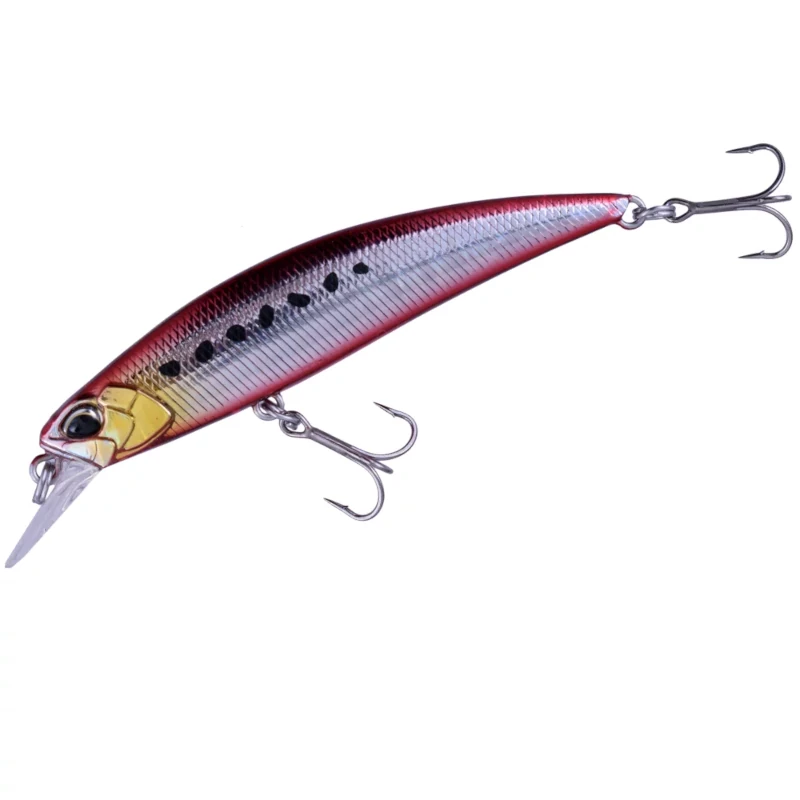 CPA0384 Fire Sardine