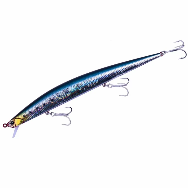 CPB0054 Genkai Sardine