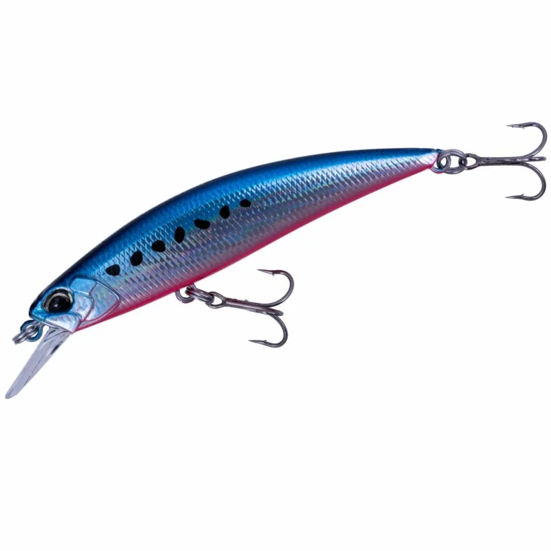SMA0067 Flash Mazume Sardine
