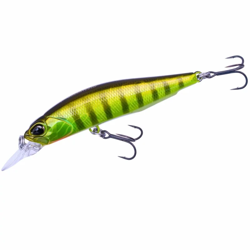 AJA3055 Chart Gill Halo