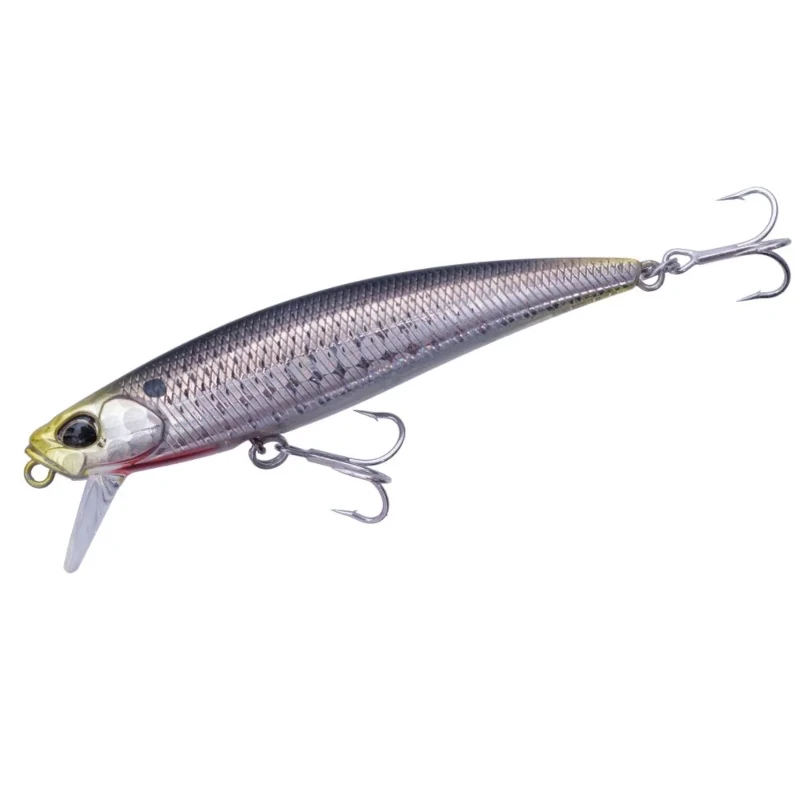CBA0157 Waka Mullet