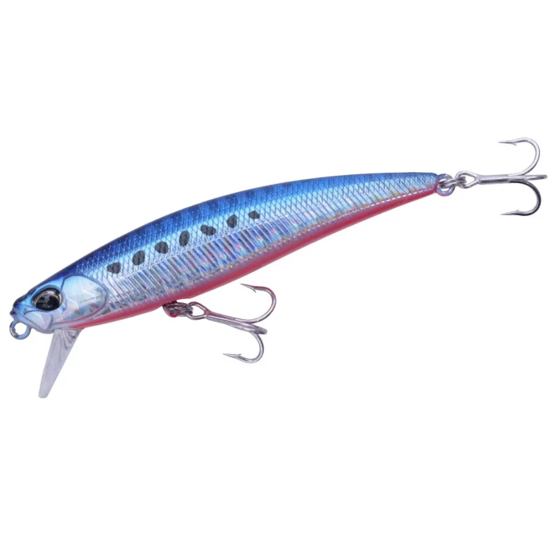 AHA0087 Mazume Sardine