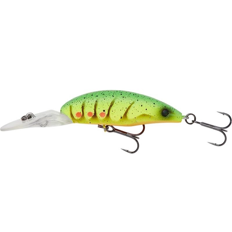 Fire Shrimp