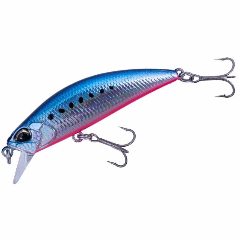 SMA0067 Flash Mazume Sardine