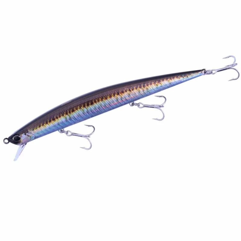 CNA0841 Real Sand Lance