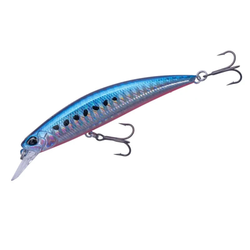 AHA0087 Mazume Sardine