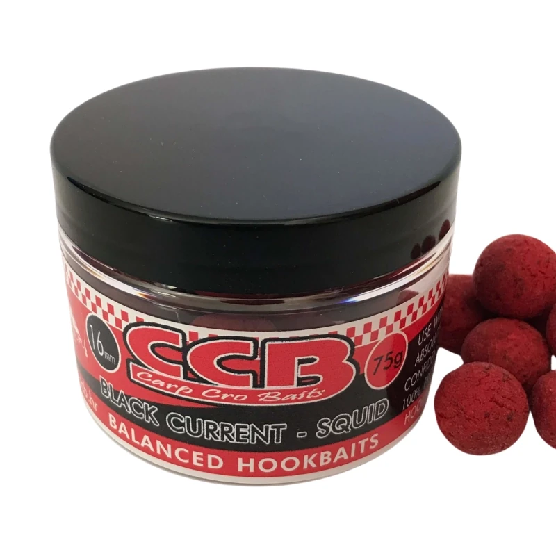 CCB Balanced Black Currant Squid