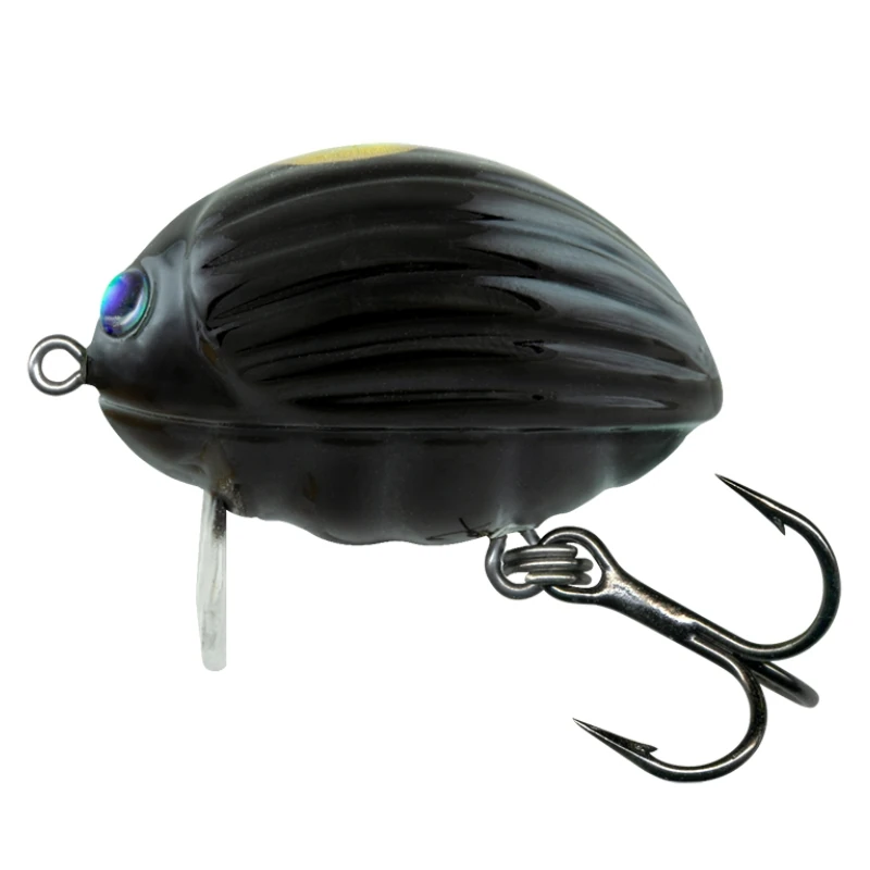 Black Bug