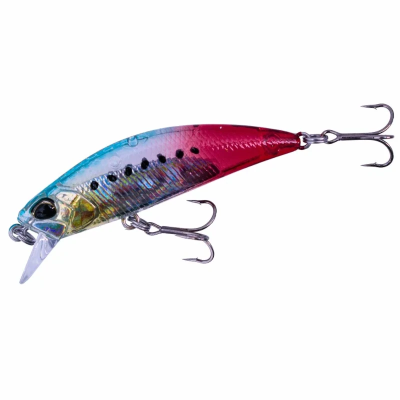 DDH0365 Bleeding Sardine