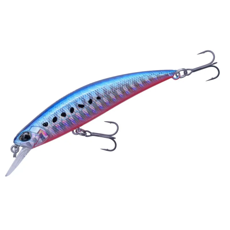 AHA0087 Mazume Sardine