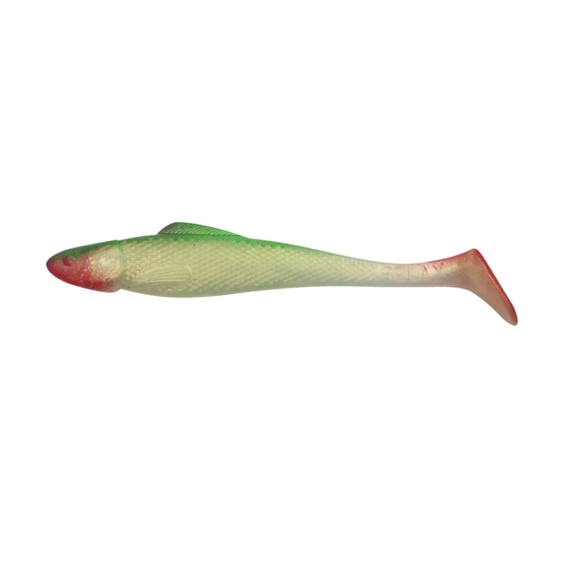 S029R