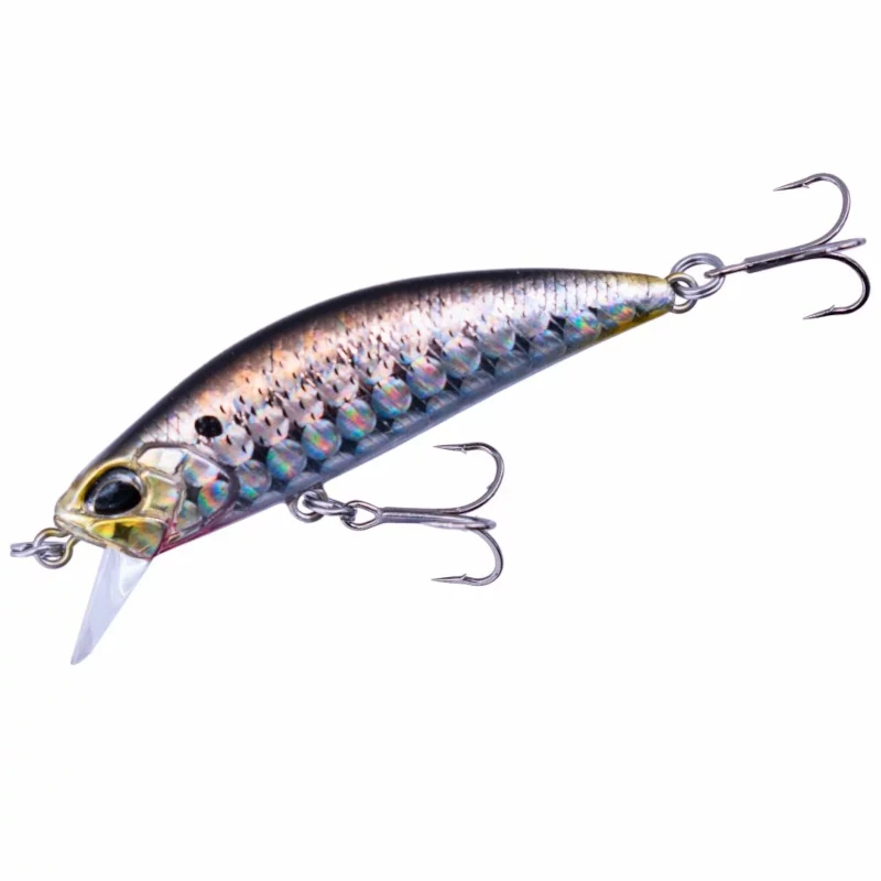 DBA0157 Waka Mullet