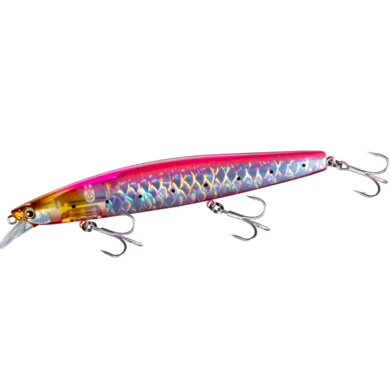 R Sardine
