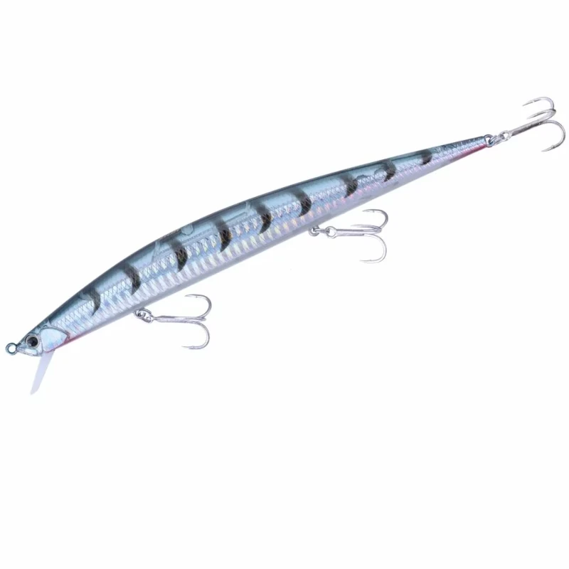 GHN0331 Barracuda Hd