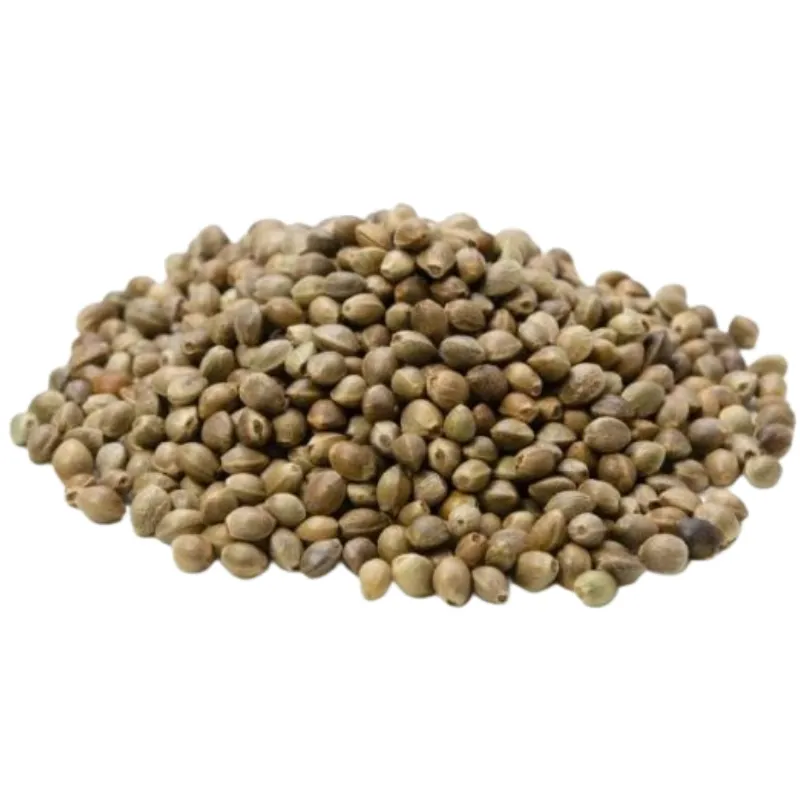 CULTO Konoplja Zrno 1Kg