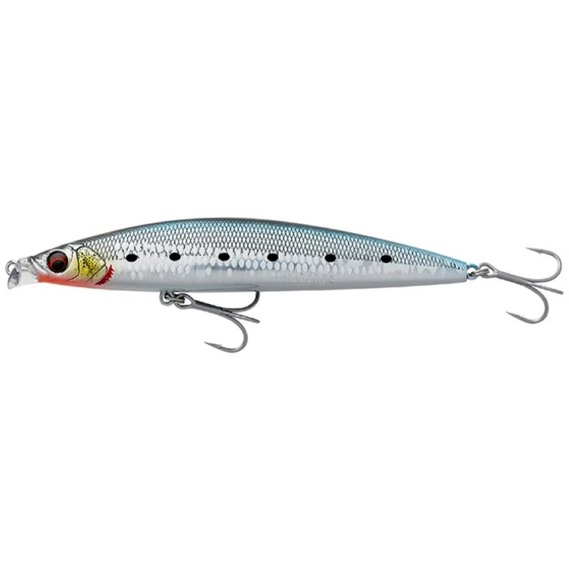 Ls Sardine