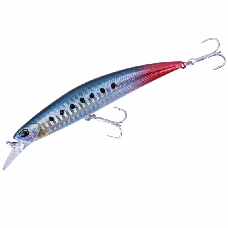 AHAZ125 Sardine Rt