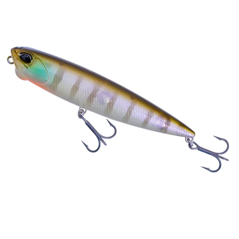 CCC3158 Ghost Gill