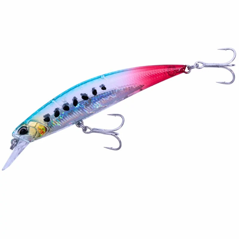 DDH0365 Bleeding Sardine