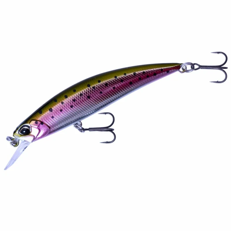 MCC4036 Rainbow Trout